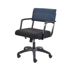 C5 - Economy Swivel & Tilt