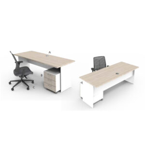 InTen Panel Leg Desking B