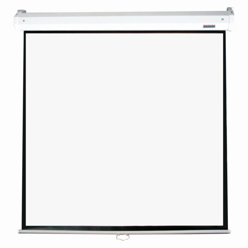 Parrot Electric Projector Screen
